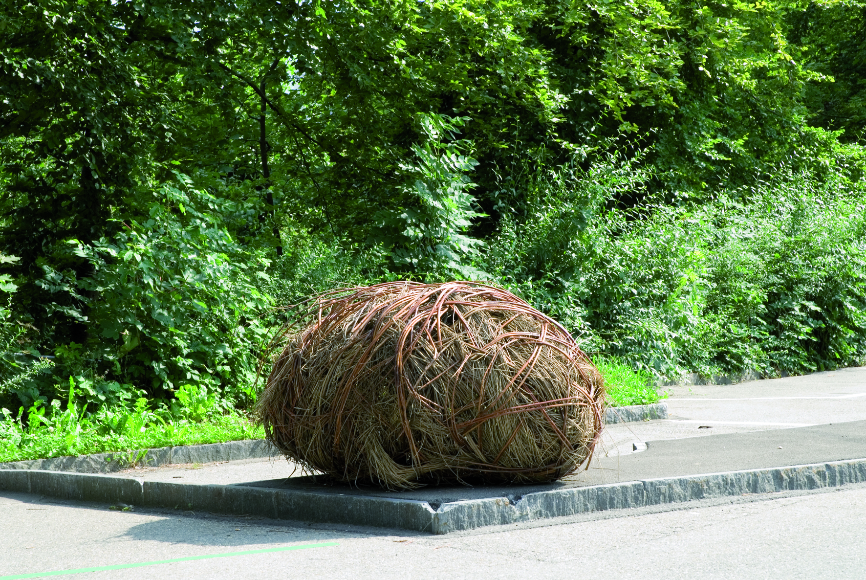 1.7 Cocons ©L.Baud